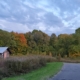 Oasis in the Woods 1